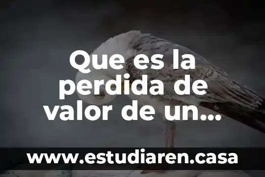 Qué es la pérdida del usufructo en derecho civil 4 Que es la perdida de valor de un bien economico
