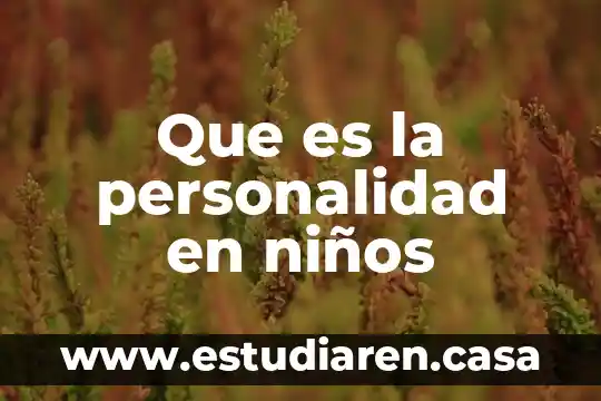 Que es la personalidad en niños