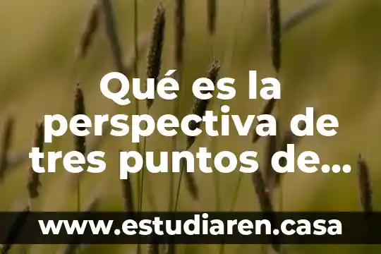 Qué es la perspectiva de tres puntos de fuga