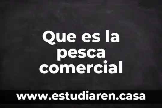 Que es colaboracion comercial 6 Que es la pesca comercial