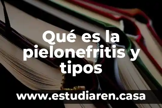 Que es spa y tipos de spa 6 Qué es la pielonefritis y tipos