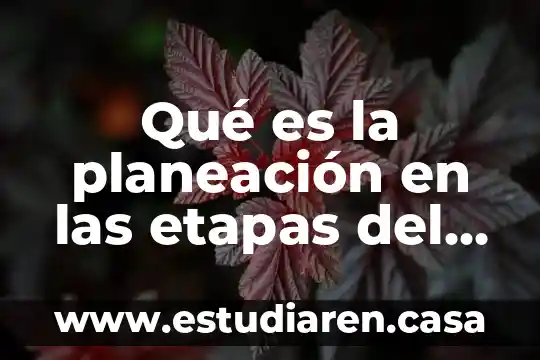 Qué es la planeación en las etapas del proceso administrativo