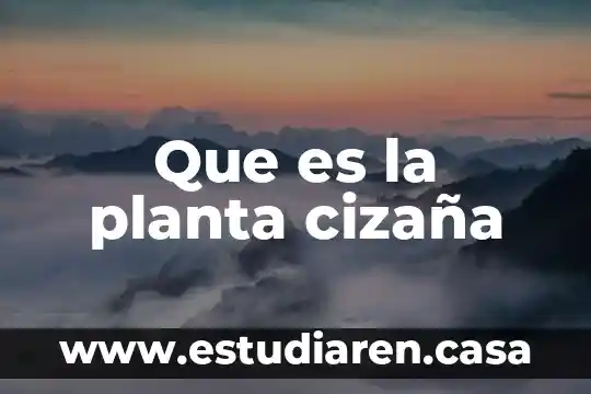 Que es la planta cizaña