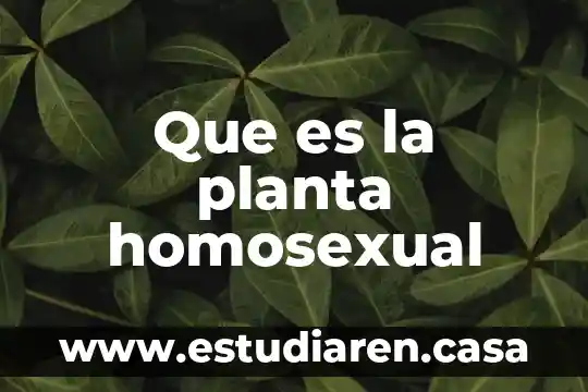 Que es la planta homosexual