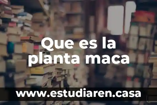 Que es la planta maca