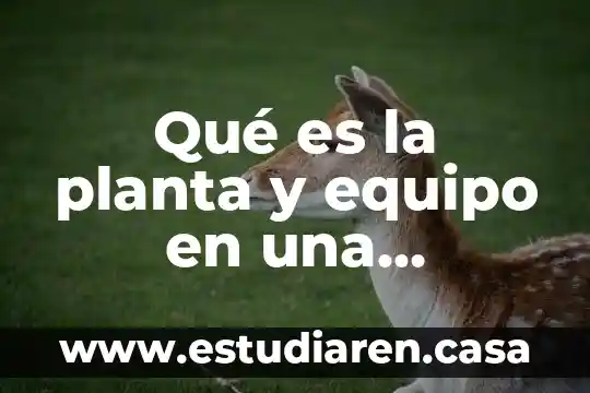 Qué es la planta y equipo en una empresa
