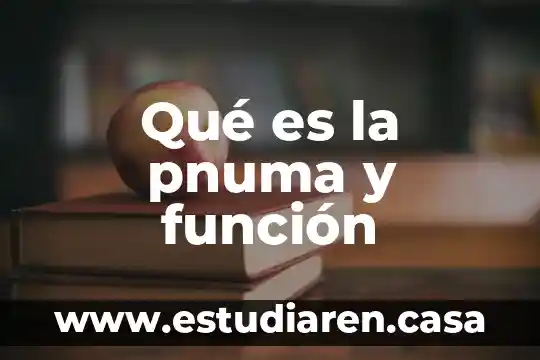 Qué es la pnuma y función