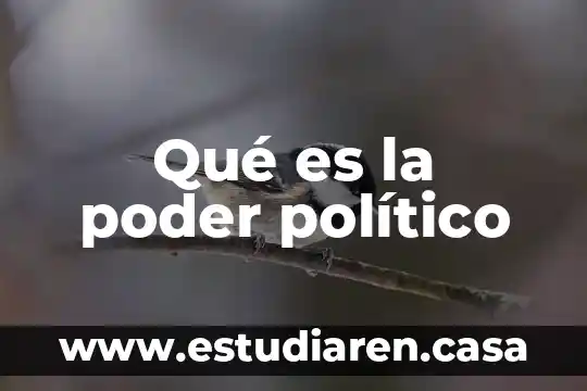 Qué es la poder político