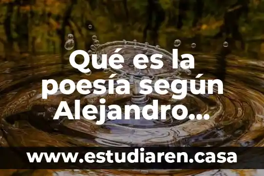 Que es un proceso productivo segun alejandro rofman 6 Qué es la poesía según Alejandro Jodorowsky