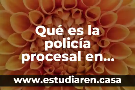 Qué es la policía procesal en México