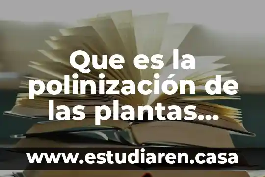 Que es la polinizacion yahoo 3 Que es la polinización de las plantas para niños