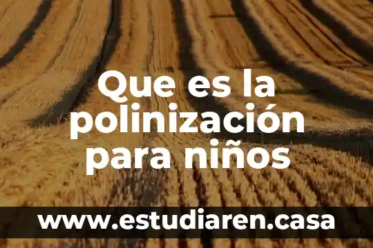 Que es la polinización de las plantas para niños 5 Que es la polinización para niños