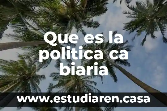 Que es ca en matematicas 4 Que es la politica ca biaria