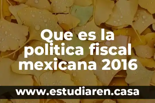Que es politica para may weber 8 Que es la politica fiscal mexicana 2016