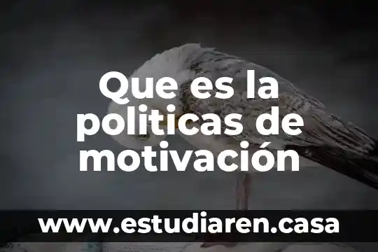 Que es la logica evaluativa de politicas publicas 5 Que es la politicas de motivación