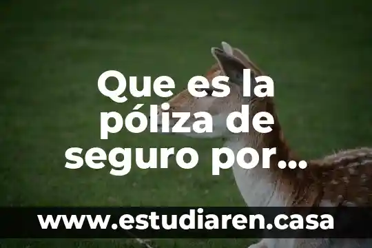 Que es la póliza de seguro por viaje