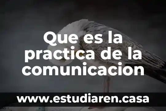 Que es docena de comunicacion 6 Que es la practica de la comunicacion