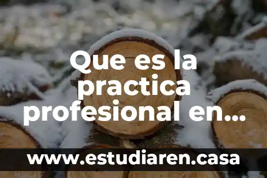 Que es la practica profesional en trabajo social