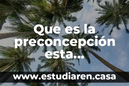 Que es la preconcepción esta subyacente a todo tipo