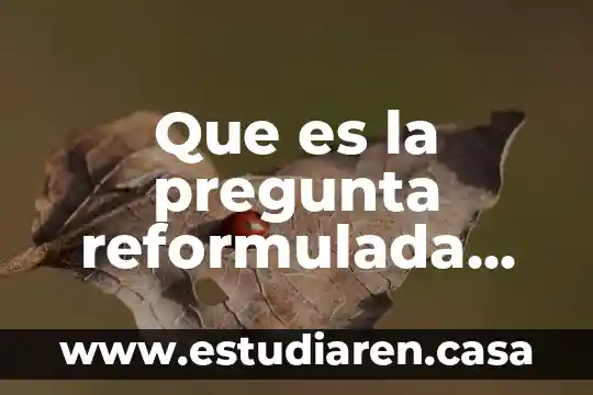 Qué es una pregunta significativa 3 Que es la pregunta reformulada entrevista de trabajo