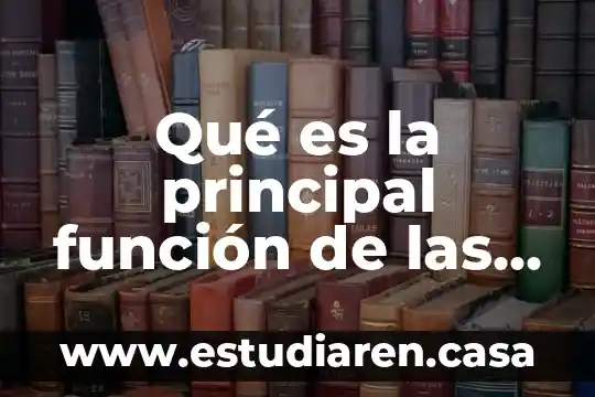 Movimiento que es la principal actividad contractil del intestino delgado 6 Qué es la principal función de las gráficas de Gantt