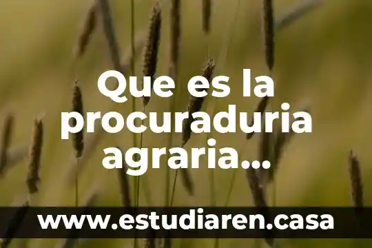 Que es la oea objetivos 7 Que es la procuraduria agraria objetivos