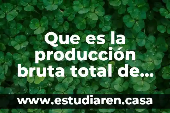 Que es un plan de adquisiciones de bienes y servicios 7 Que es la producción bruta total de bienes y servicios