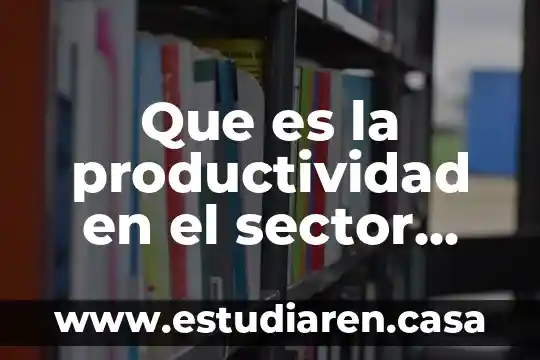 Que es sector empresarial definicion 5 Que es la productividad en el sector empresarial