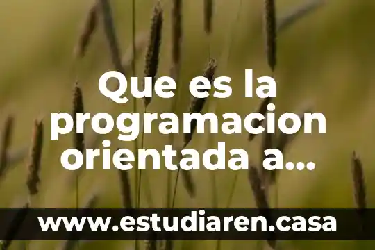Que es programacion orientada a objetos visual basic 6 Que es la programacion orientada a objetos yahoo