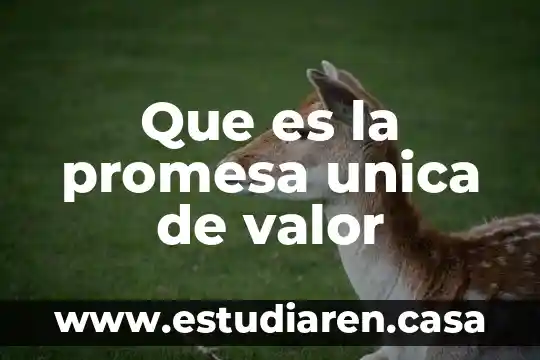 Que es promesa unilateral en derecho civil 3 Que es la promesa unica de valor