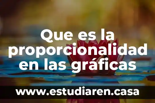 Que es la proporcionalidad en las gráficas
