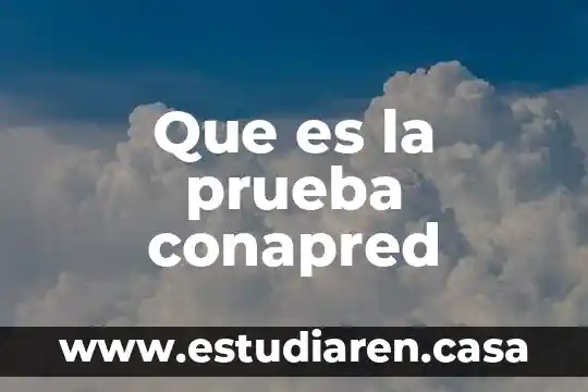 Ensayo de que es la lectura 3 Que es la prueba conapred