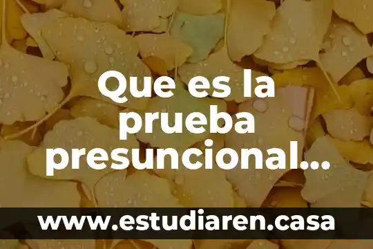 Que es la prueba presuncional humana