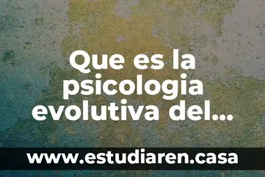 Que es la psicologia evolutiva del niño