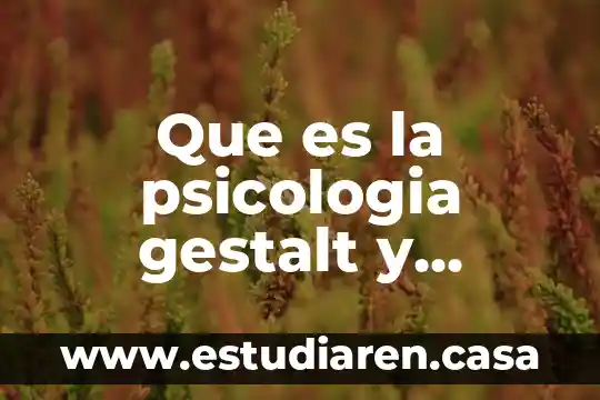 Que es la psicologia gestalt y psicanálise