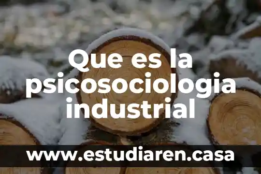 Que es un diagrama industrial 3 Que es la psicosociologia industrial