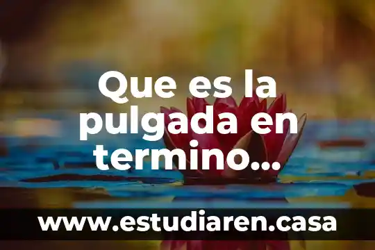 Que es modelaje matematico 4 Que es la pulgada en termino matemático