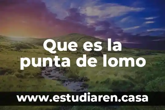 Qué es una punta de un lápiz en crugía 8 Que es la punta de lomo