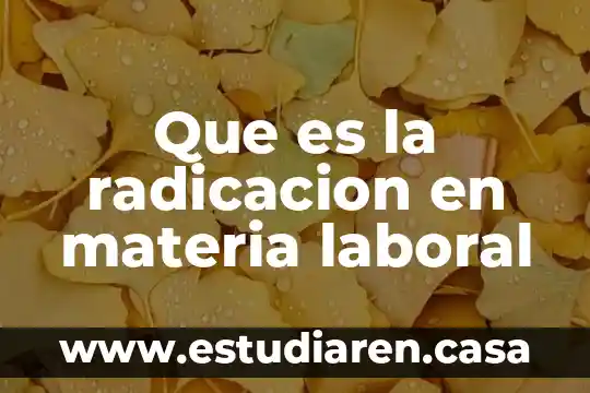 Que es la radicacion en materia laboral
