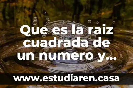 Que es la raiz cuadrada de un numero y ejemplos