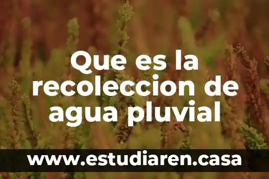 Que es la recoleccion de agua pluvial