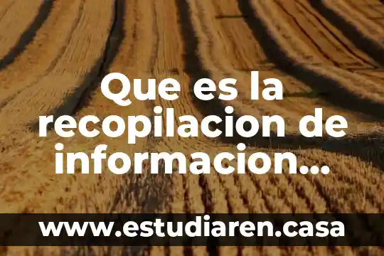 Que es in en enfermeria 8 Que es la recopilacion de informacion sobre estudio de variables