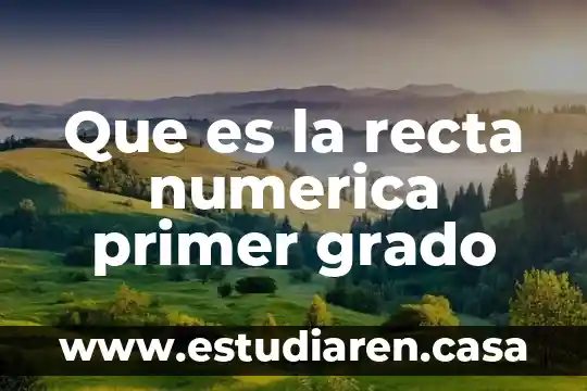 Que es la recta numerica primer grado