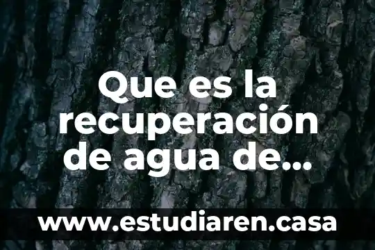 Que es codigo de recuperacion kies 4 Que es la recuperaci贸n de agua de lluvia