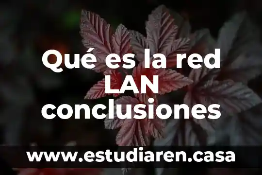 Qué es la red LAN conclusiones