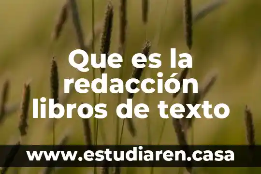 Que es la redacción libros de texto