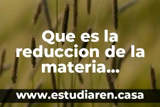 Que es la expresion en materia de reserva 6 Que es la reduccion de la materia organica