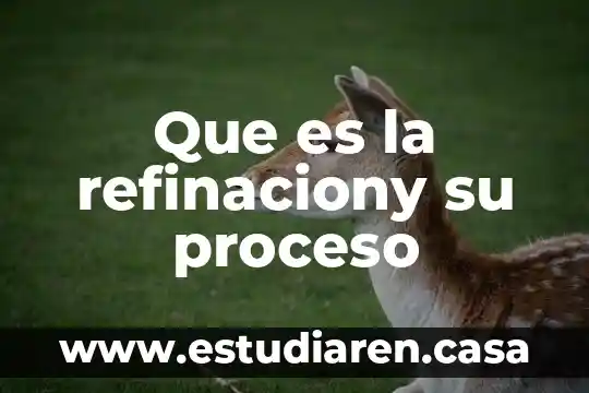Que es la refinaciony su proceso