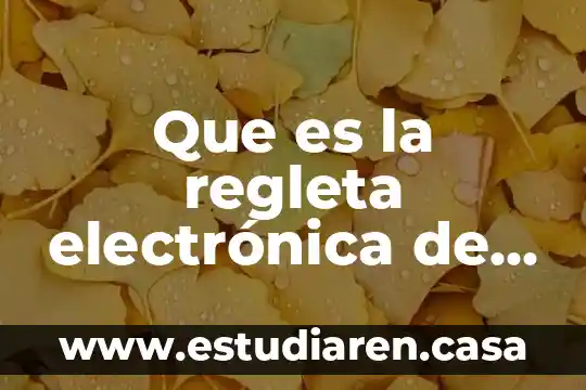Que es la regleta electrónica de un gol