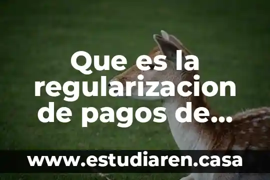 Que es la regularizacion de pagos de agua y drenaje